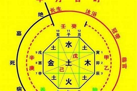 五行 喜|生辰八字算命、五行喜用神查詢（免費測算）